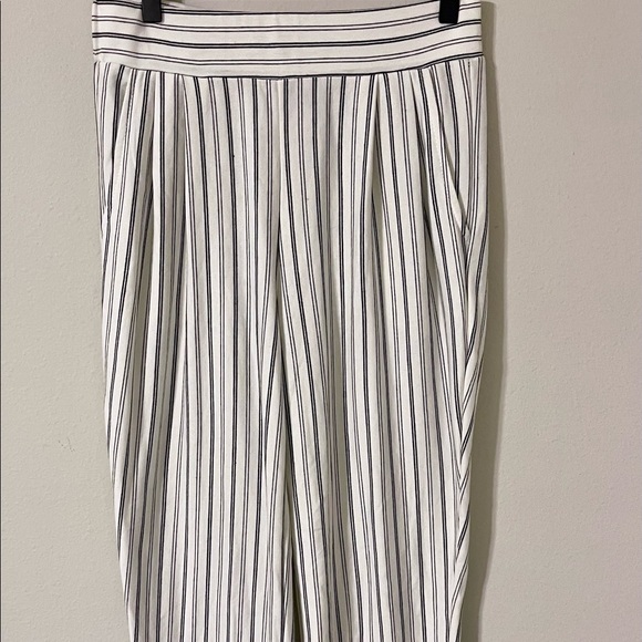 Anthropologie COA Pin Stripe Slacks with Pockets - Picture 6 of 13